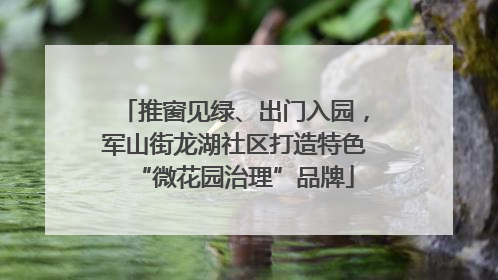 推窗见绿、出门入园，军山街龙湖社区打造特色“微花园治理”品牌