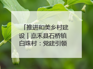 推进和美乡村建设｜嘉禾县石桥镇白珠村：党建引领破“空”局 乡贤聚力绘就新图景