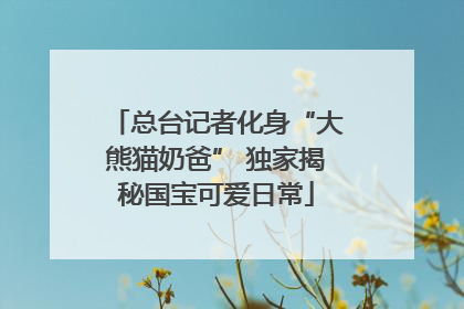 总台记者化身“大熊猫奶爸” 独家揭秘国宝可爱日常