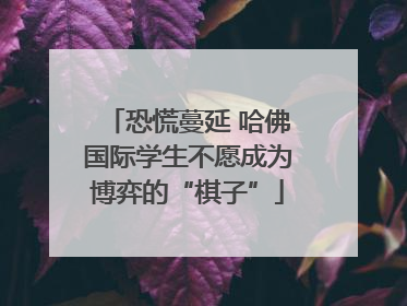恐慌蔓延 哈佛国际学生不愿成为博弈的“棋子”