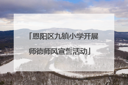 恩阳区九镇小学开展师德师风宣誓活动