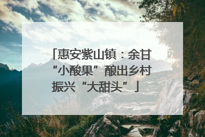 惠安紫山镇：余甘“小酸果”酿出乡村振兴“大甜头”
