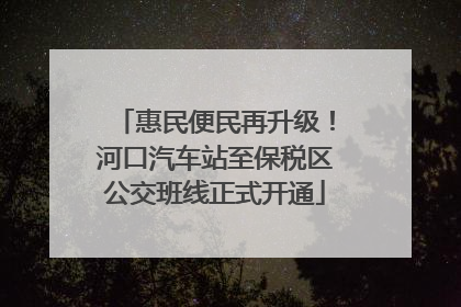 惠民便民再升级！河口汽车站至保税区公交班线正式开通