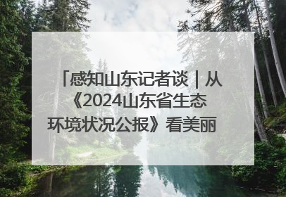 感知山东记者谈｜从《2024山东省生态环境状况公报》看美丽山东建设的“成绩单”与“任务书”