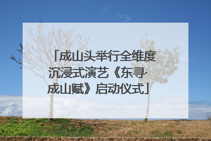 成山头举行全维度沉浸式演艺《东寻·成山赋》启动仪式