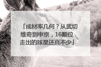 成材率几何？从武切维奇到申京，16顺位走出的球星还真不少