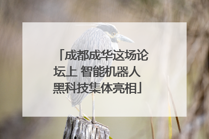 成都成华这场论坛上 智能机器人黑科技集体亮相
