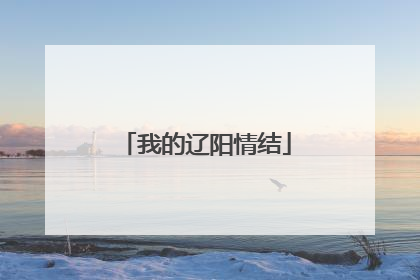 我的辽阳情结