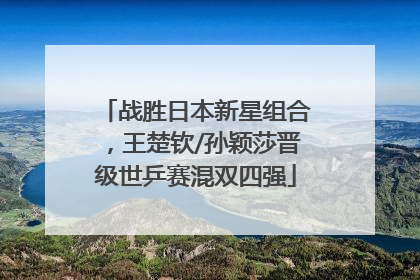 战胜日本新星组合，王楚钦/孙颖莎晋级世乒赛混双四强