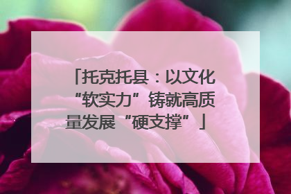 托克托县：以文化“软实力”铸就高质量发展“硬支撑”