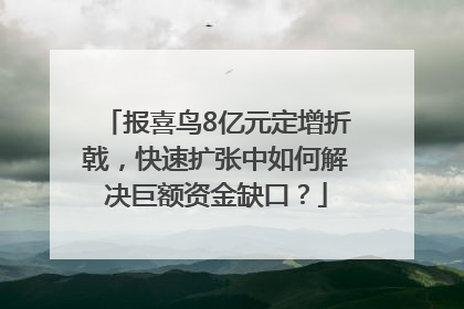 报喜鸟8亿元定增折戟，快速扩张中如何解决巨额资金缺口？