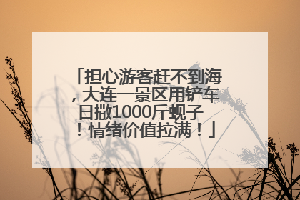 担心游客赶不到海，大连一景区用铲车日撒1000斤蚬子！情绪价值拉满！