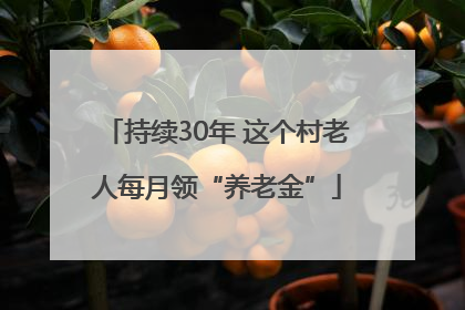 持续30年 这个村老人每月领“养老金”