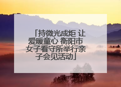 持微光成炬 让爱暖童心 衡阳市女子看守所举行亲子会见活动