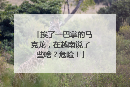 挨了一巴掌的马克龙，在越南说了些啥？危险！