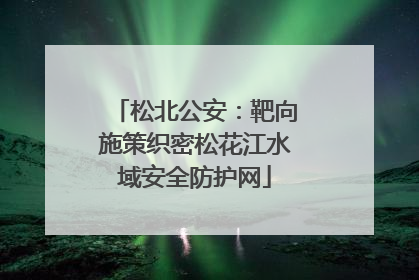 松北公安：靶向施策织密松花江水域安全防护网
