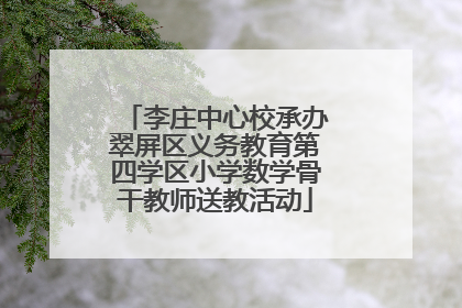 李庄中心校承办翠屏区义务教育第四学区小学数学骨干教师送教活动