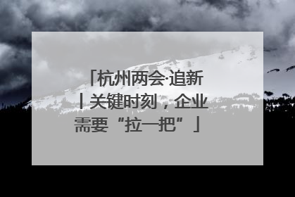 杭州两会·追新丨关键时刻，企业需要“拉一把”