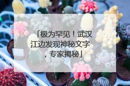 极为罕见！武汉江边发现神秘文字，专家揭秘