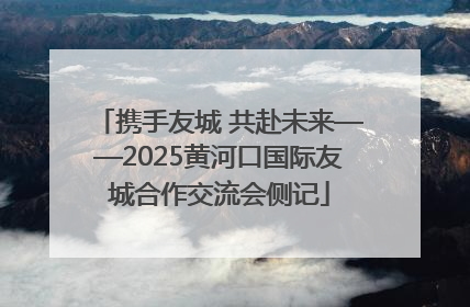 携手友城 共赴未来——2025黄河口国际友城合作交流会侧记