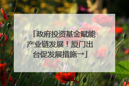 政府投资基金赋能产业链发展！厦门出台促发展措施→