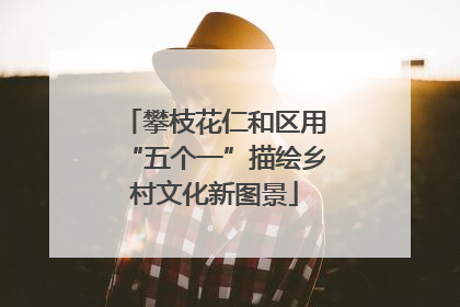 攀枝花仁和区用“五个一”描绘乡村文化新图景