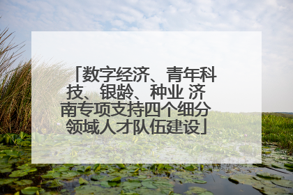 数字经济、青年科技、银龄、种业 济南专项支持四个细分领域人才队伍建设
