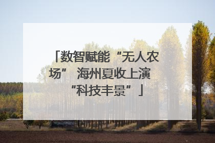 数智赋能“无人农场” 海州夏收上演“科技丰景”