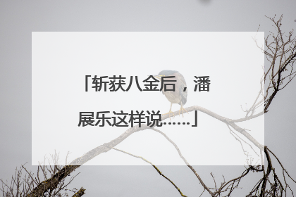 斩获八金后，潘展乐这样说……