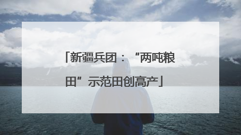 新疆兵团：“两吨粮田”示范田创高产