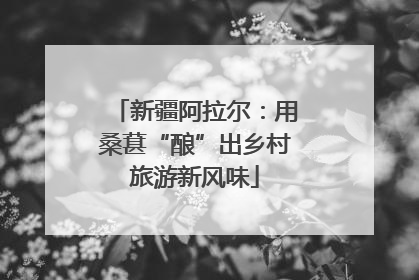 新疆阿拉尔：用桑葚“酿”出乡村旅游新风味