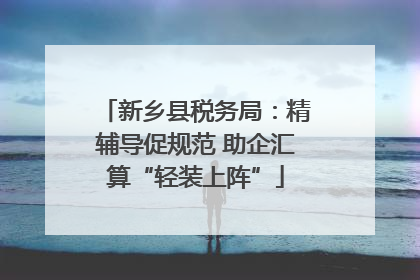 新乡县税务局：精辅导促规范 助企汇算“轻装上阵”