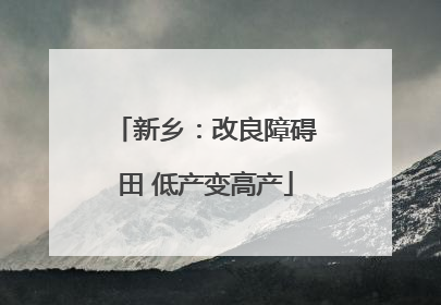 新乡：改良障碍田 低产变高产