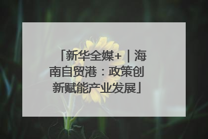 新华全媒+｜海南自贸港：政策创新赋能产业发展