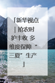 新华视点｜抢农时 护丰收 多维度保障“三夏”生产