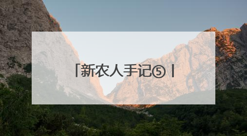 新农人手记⑤丨当湘潭白莲遇上云端电商 新视野带来了新路径