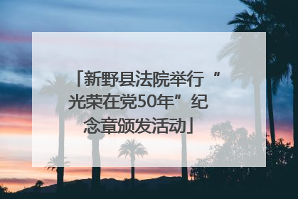 新野县法院举行“光荣在党50年”纪念章颁发活动