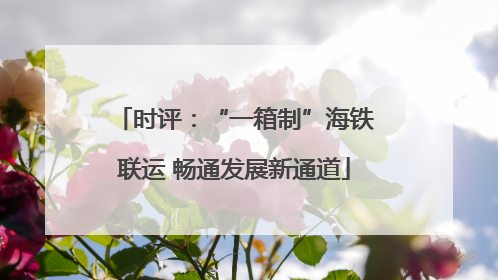 时评：“一箱制”海铁联运 畅通发展新通道