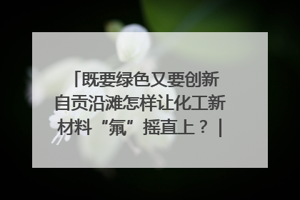 既要绿色又要创新 自贡沿滩怎样让化工新材料“氟”摇直上？｜美好生活有“盐”味