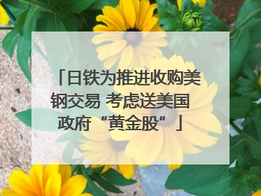 日铁为推进收购美钢交易 考虑送美国政府“黄金股”