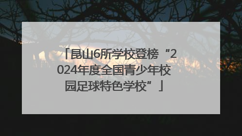 昆山6所学校登榜“2024年度全国青少年校园足球特色学校”