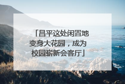 昌平这处闲置地变身大花园，成为校园崭新会客厅