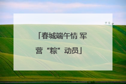 春城端午情 军营“粽”动员