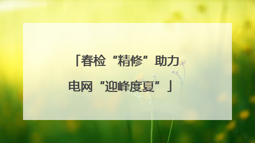 春检“精修”助力电网“迎峰度夏”