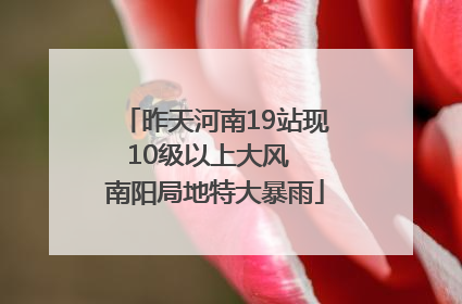 昨天河南19站现10级以上大风  南阳局地特大暴雨