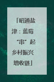 昭通盐津：蓝莓“串”起乡村振兴增收链