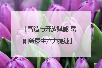 智造与开放赋能 岳阳新质生产力提速