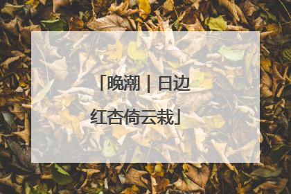 晚潮｜日边红杏倚云栽