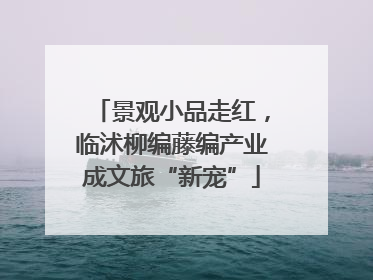 景观小品走红，临沭柳编藤编产业成文旅“新宠”