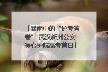 暴雨中的“护考答卷” 武汉新洲公安暖心护航高考首日